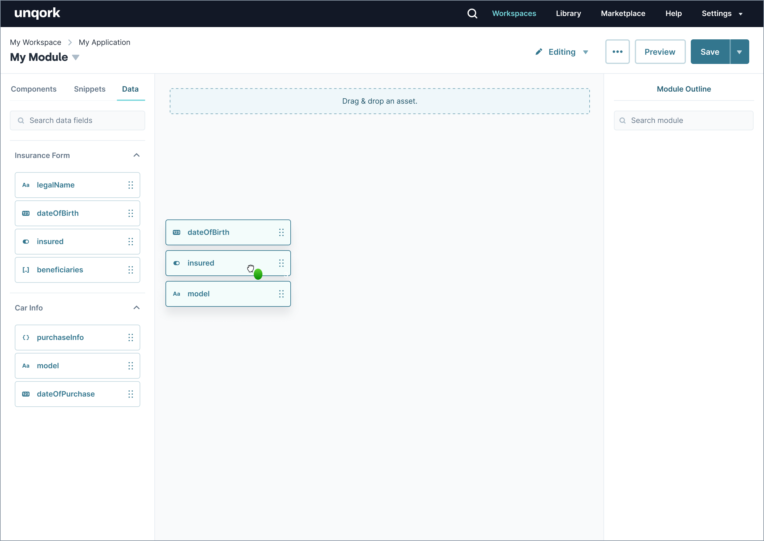 module builder utilizing schema fields